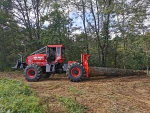 Skidder Camox Ribeiro